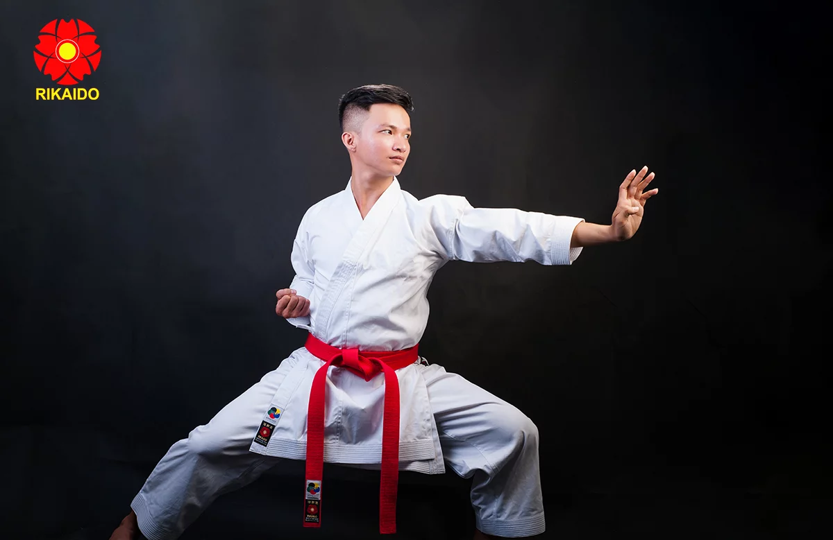 võ phục karate kata giá rẻ Võ phục Karate kata giá rẻ