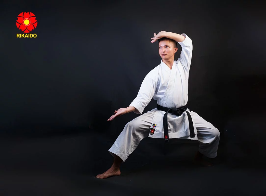 võ phục karate kata giá rẻ Võ phục Karate kata giá rẻ