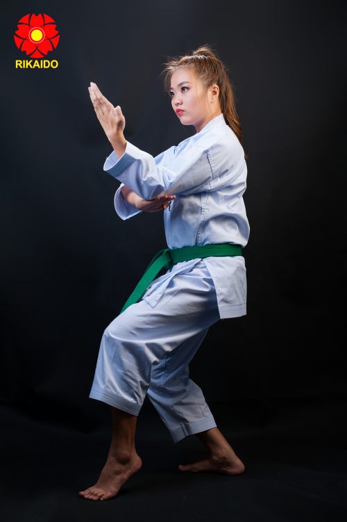Võ phục Karate phong trào
