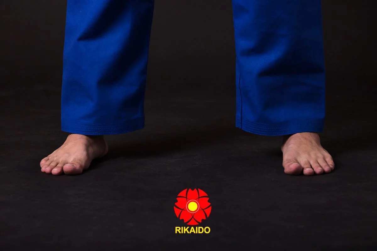 Võ phục Vovinam cao cấp
