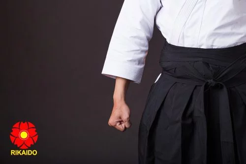 võ phục aikido