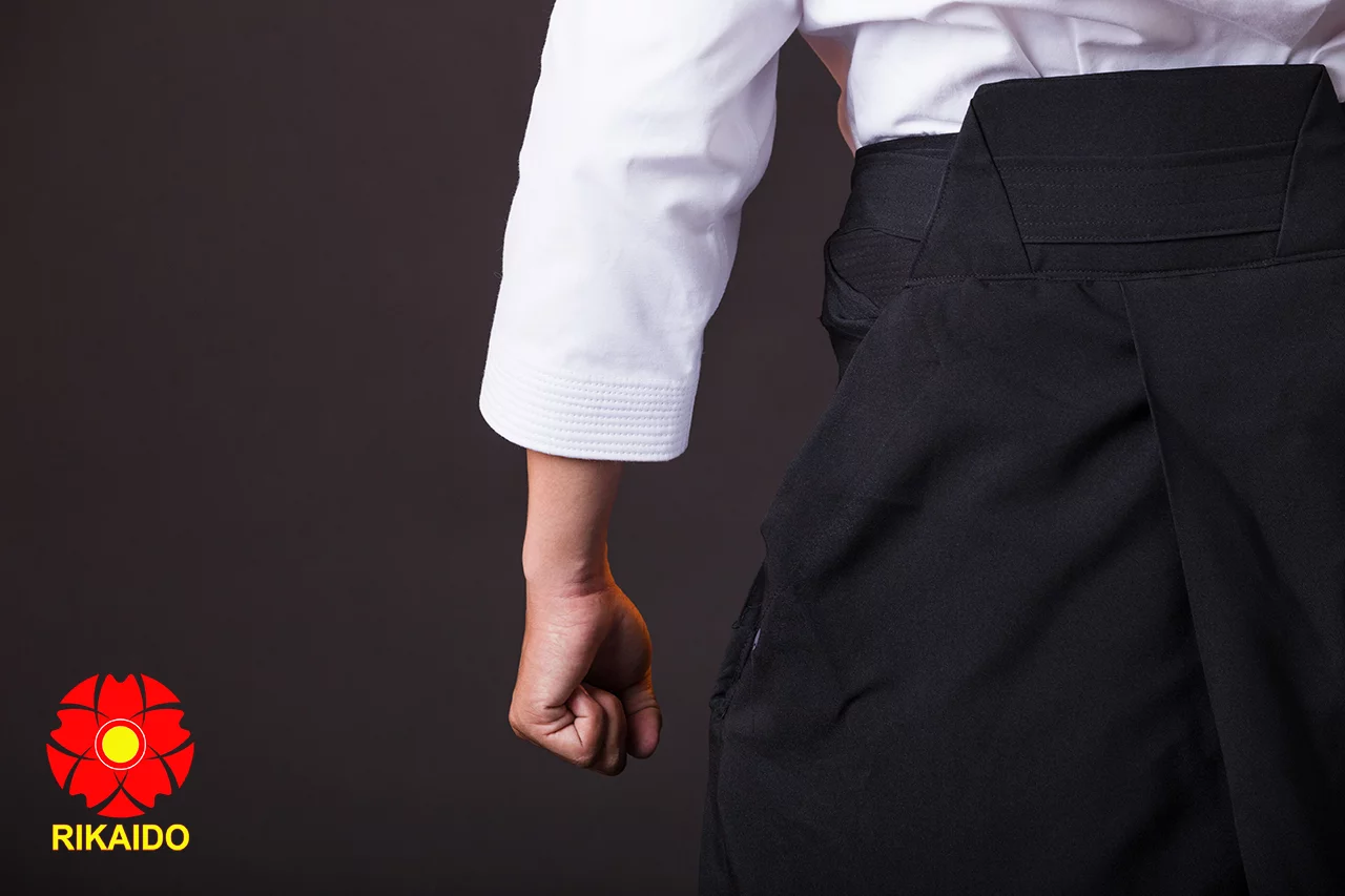 võ phục aikido váy hakama aikido