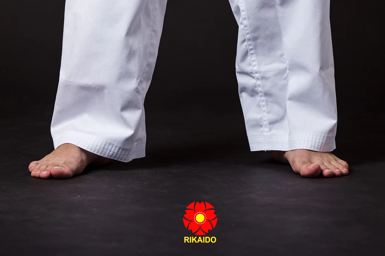 Võ phục taekwondo cao cấp