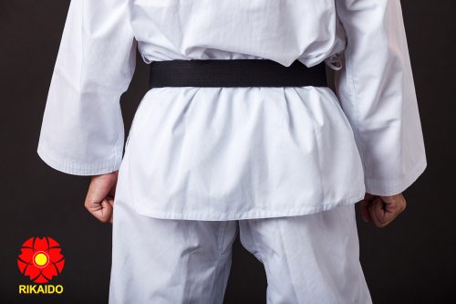 Võ phục taekwondo cao cấp