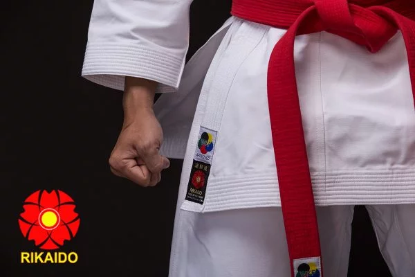 võ phục karate Võ phục Karate