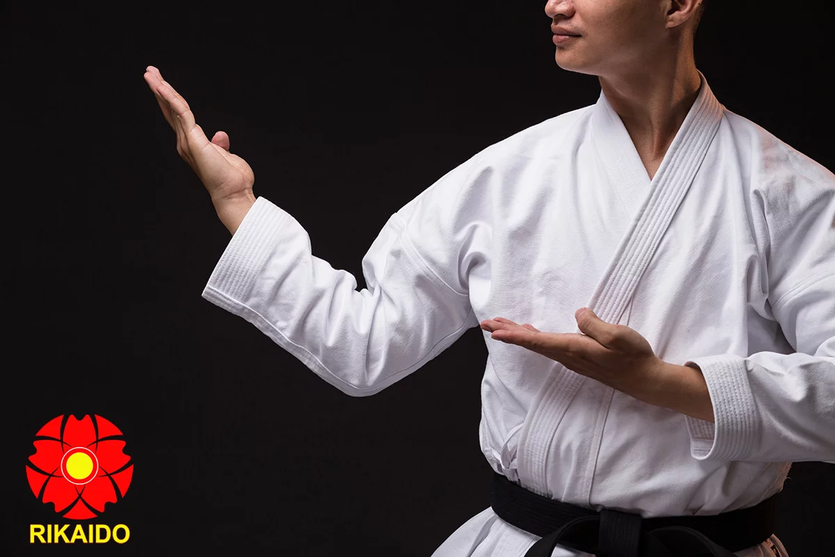 Võ phục karateVõ phục Karate thi đấu kata
