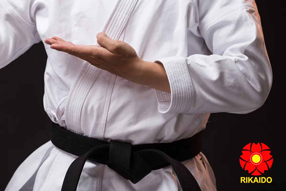 Võ phục karateVõ phục Karate thi đấu kata
