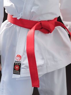 Võ phục kata thi đấu