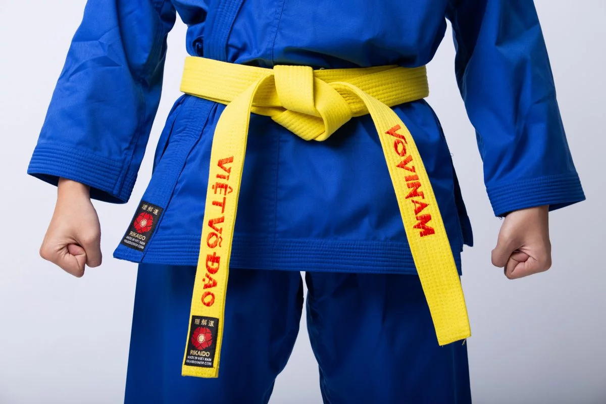 võ phục vovinam mẫu nhật võ phục vovinam mẫu nhật