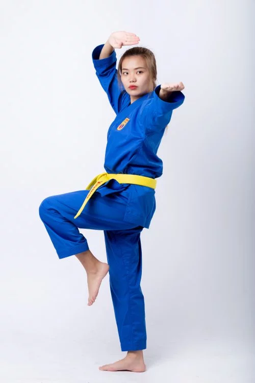 võ phục vovinam mẫu nhật