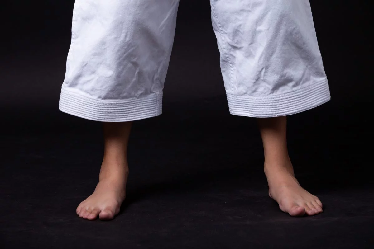 võ phục karate cao cấp 2 Võ Phục Karate cao cấp 2