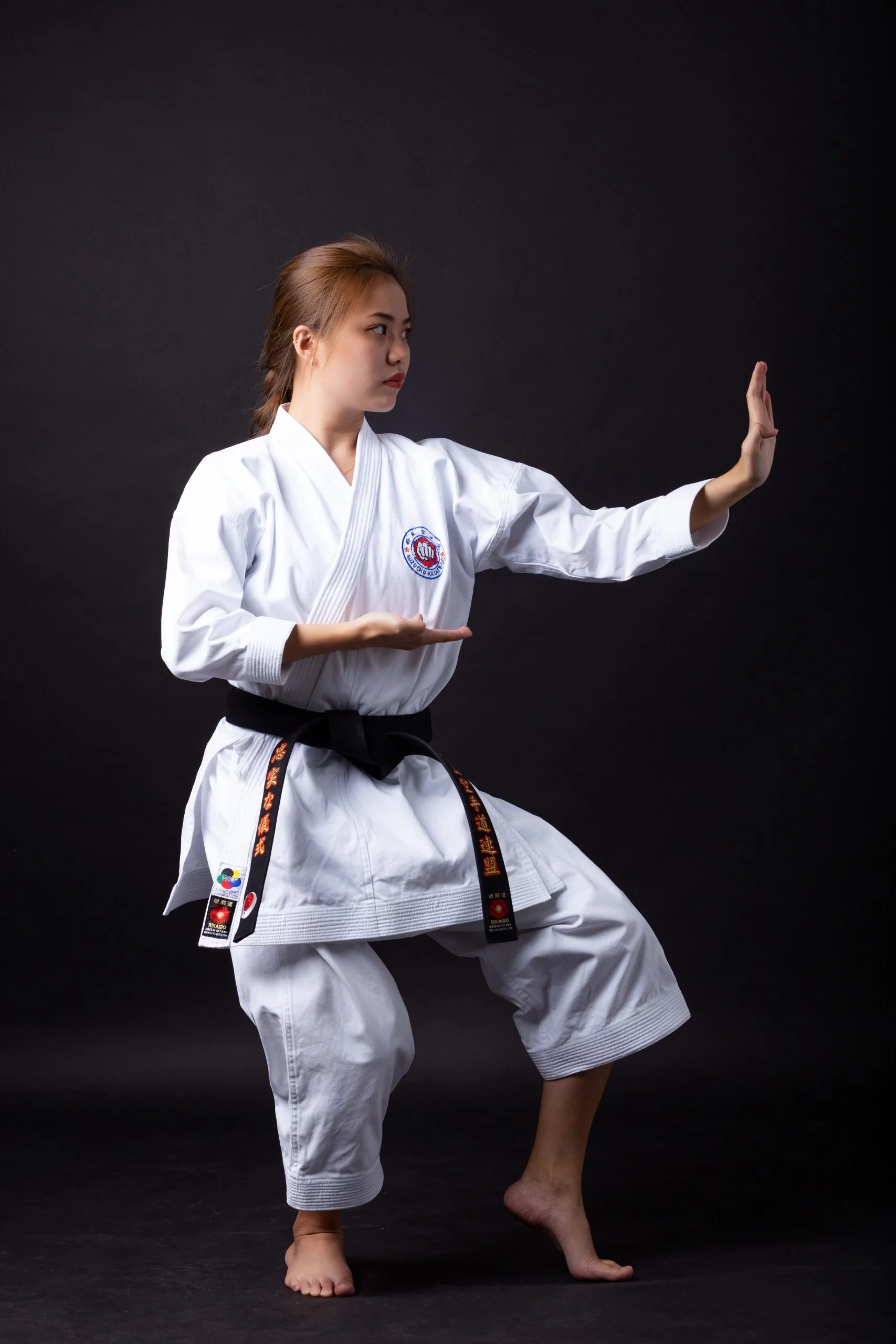 võ phục karate cao cấp 2 Võ Phục Karate cao cấp 2