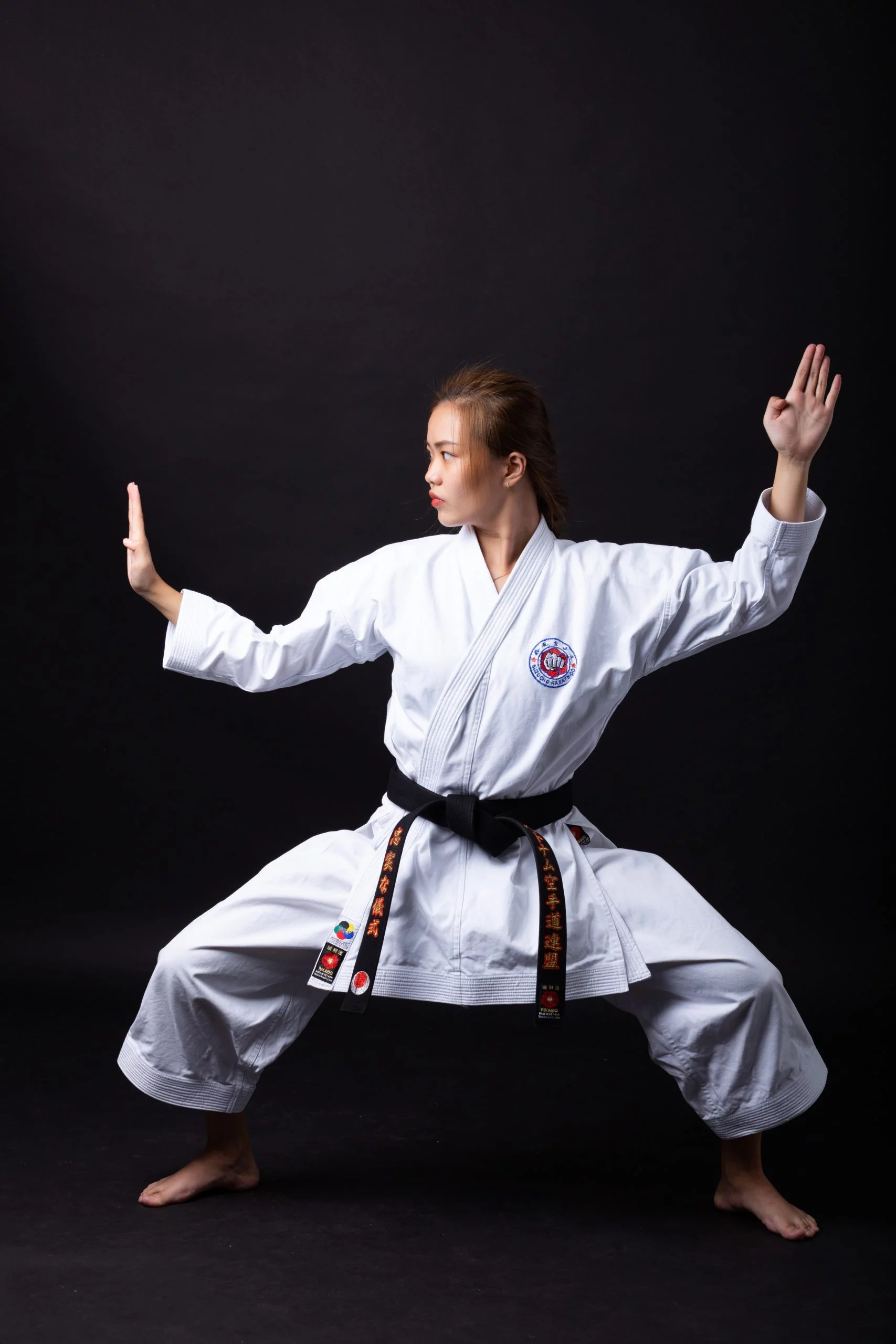 võ phục karate cao cấp 2 Võ Phục Karate cao cấp 2