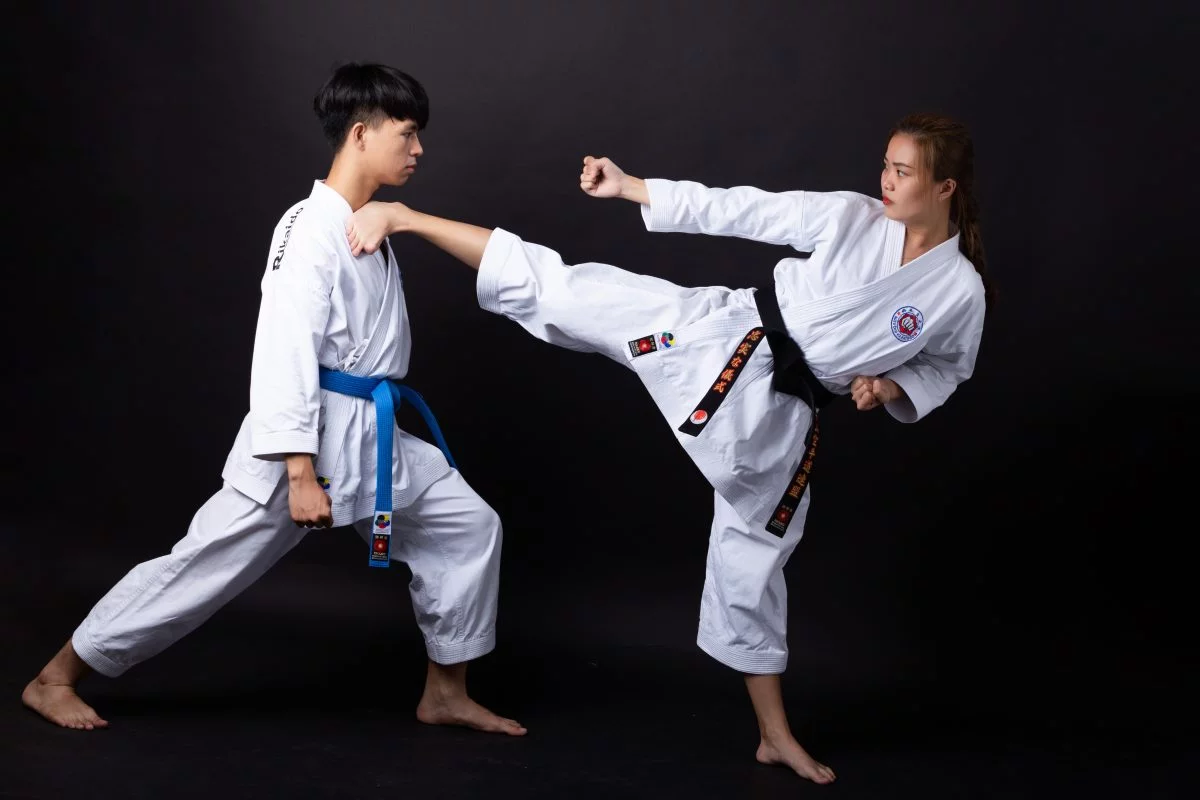 võ phục karate cao cấp 2 Võ Phục Karate cao cấp 2