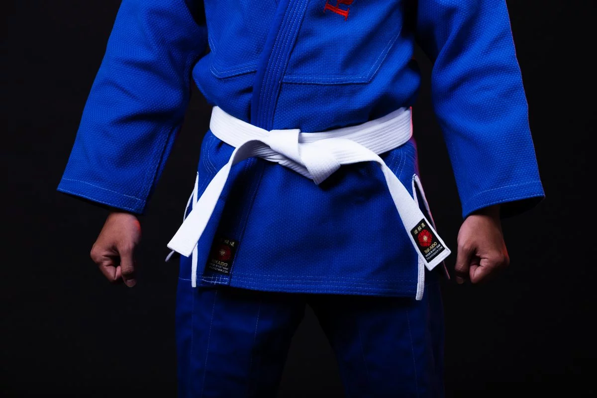 martial arts bjj