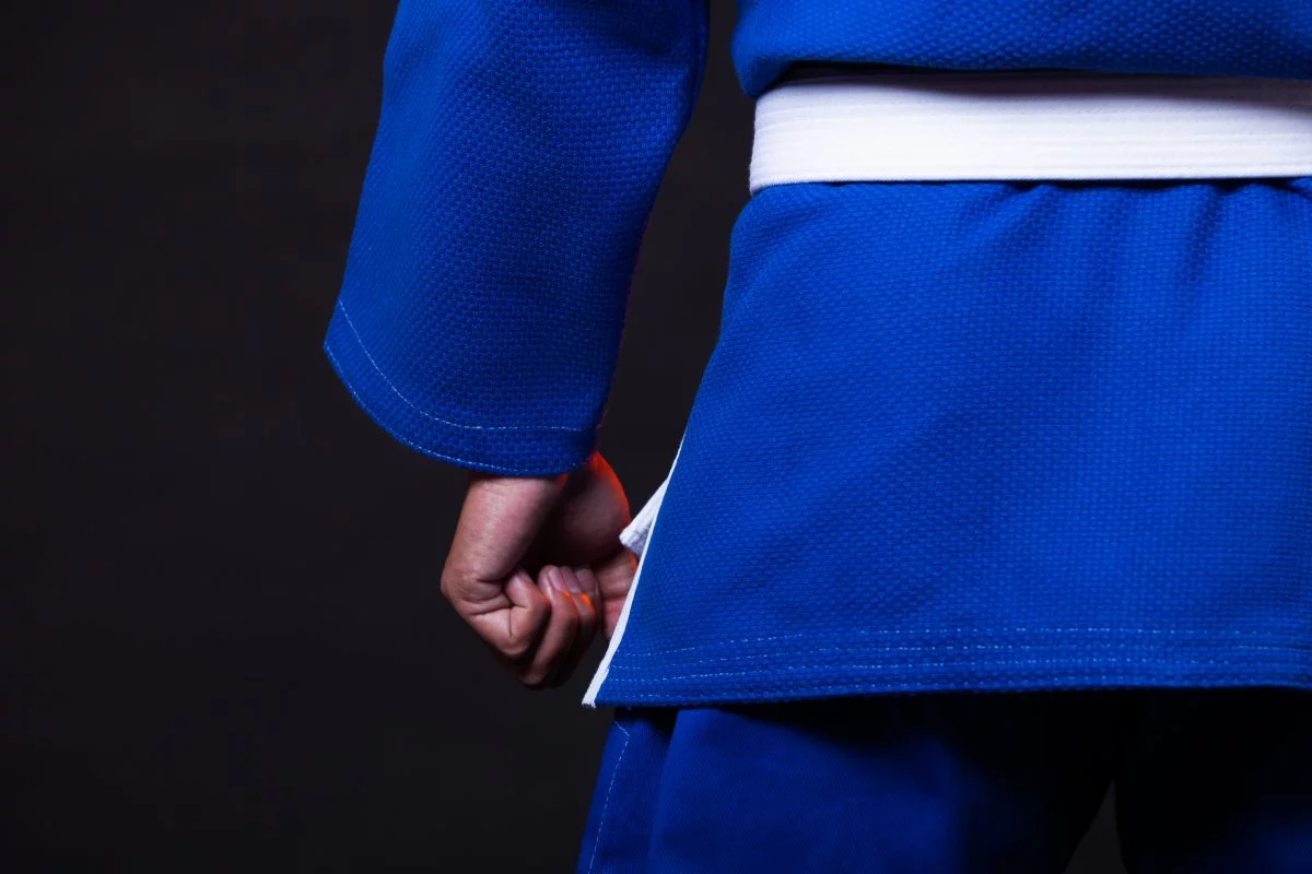 martial arts bjj