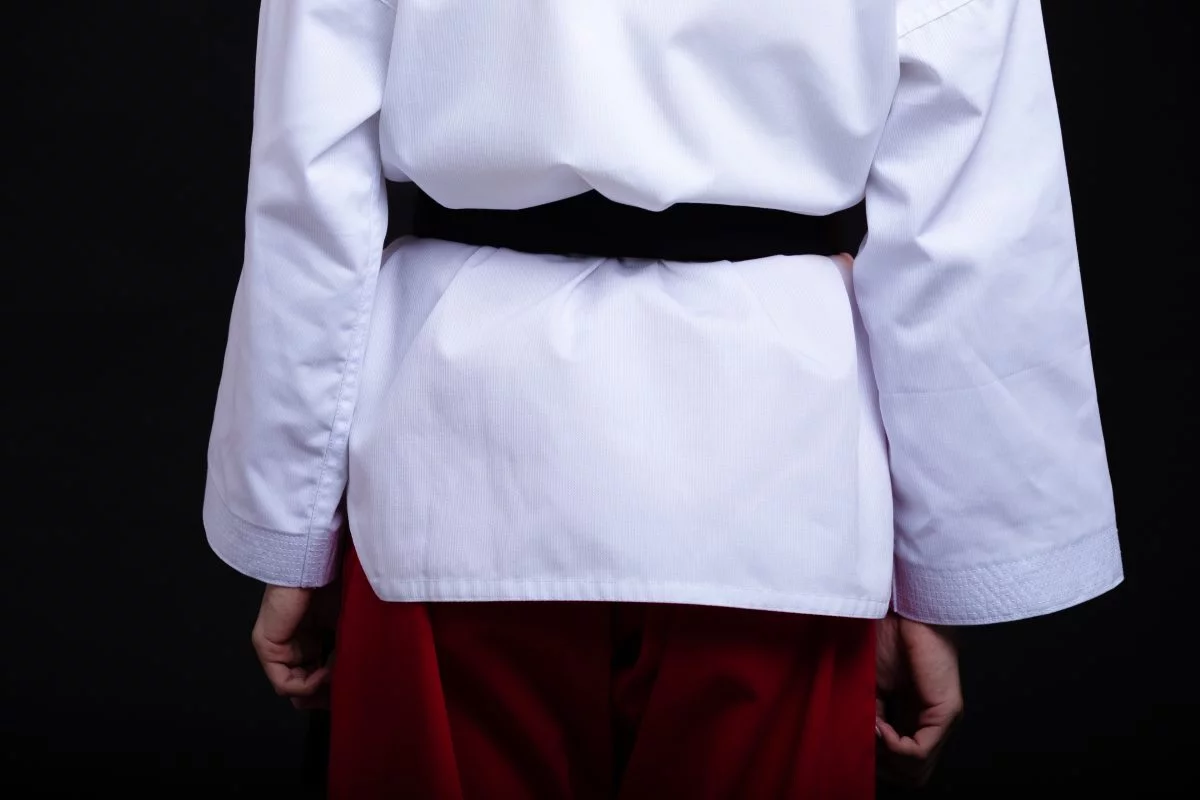 võ phục taekwondo quyền 2 võ phục taekwondo quyền 2