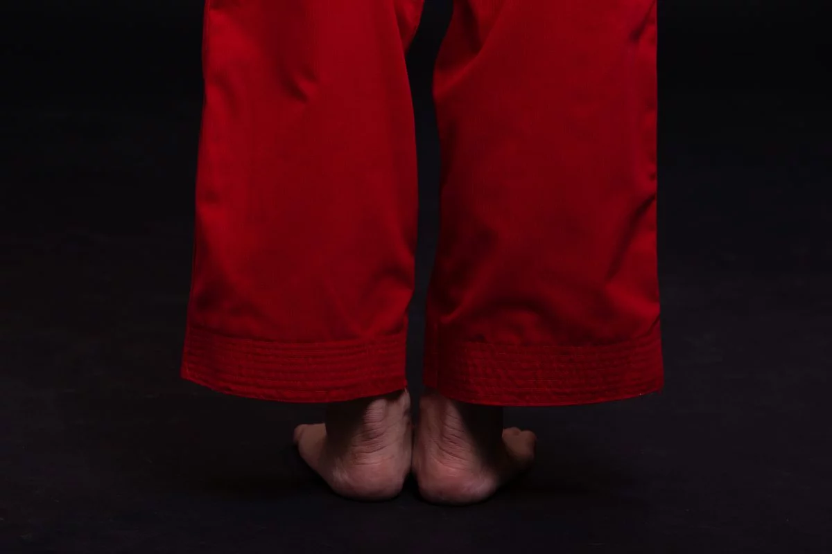 võ phục taekwondo quyền 2 võ phục taekwondo quyền 2