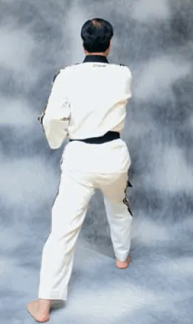 bài quyền số 1 taekwondo Taekwondo bài quyền số 1