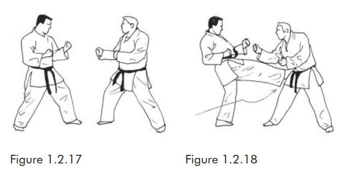 Cú đá thốc trước - Kỹ thuật đá trong karate phần 2