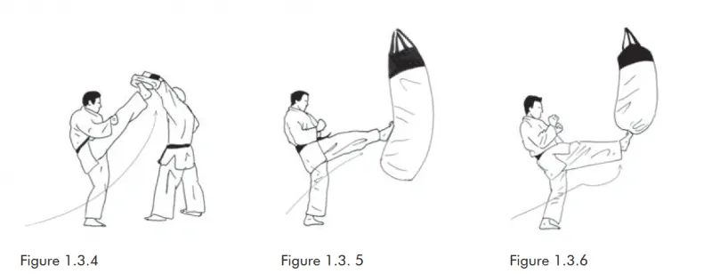 Cú Đá mổ tống