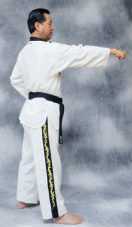 Taekwondo quyền 1