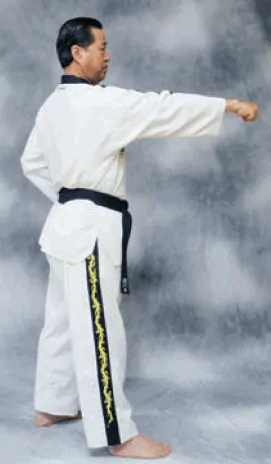 bài quyền số 1 taekwondo Taekwondo quyền 1
