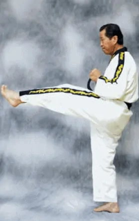 bài quyền số 1 taekwondo Taekwondo bài quyền số 1