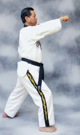 bài quyền số 2 taekwondo taekwondo Bài quyền số 2
