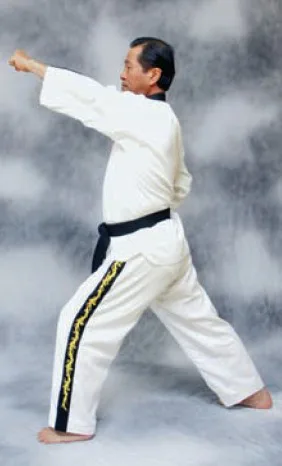 bài quyền số 2 taekwondo taekwondo Bài quyền số 2