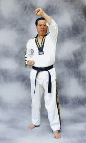bài quyền số 2 taekwondo taekwondo Bài quyền số 2
