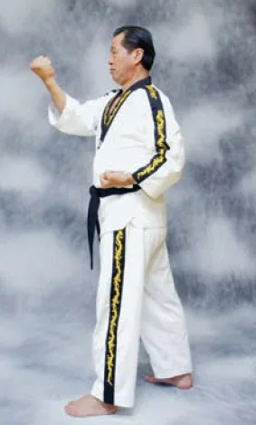 bài quyền số 2 taekwondo taekwondo Bài quyền số 2
