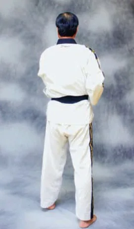 bài quyền số 2 taekwondo bai quyen so 2 taekwondo