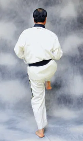 bài quyền số 2 taekwondo bai quyen so 2 taekwondo