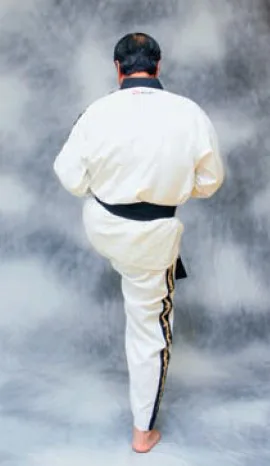 bài quyền số 2 taekwondo bai quyen so 2 taekwondo