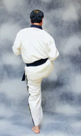 bài quyền số 2 taekwondo bai quyen so 2 taekwondo