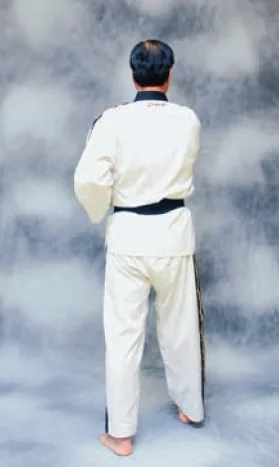 bài quyền số 2 taekwondo bai quyen so 2 taekwondo