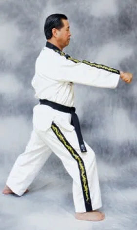 bài quyền số 2 taekwondo taekwondo Bài quyền số 2