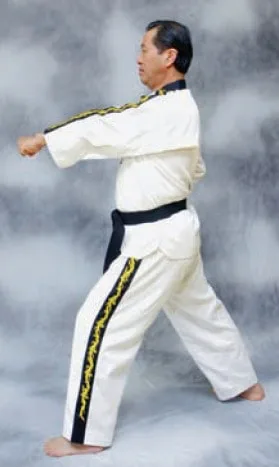 bài quyền số 2 taekwondo taekwondo Bài quyền số 2