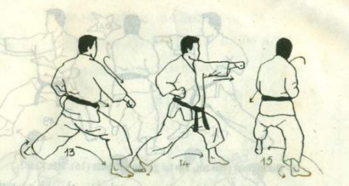 Bài Quyền Số 1 Karate - Heian Shodan - Rikaidoshop