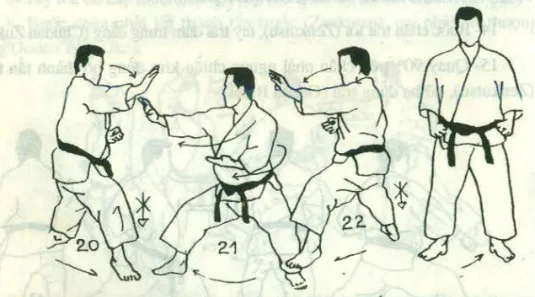 bài quyền số 1 karate heian shodan