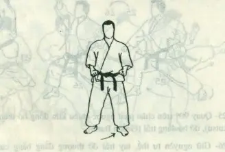 bài quyền số 2 karate heian nidan