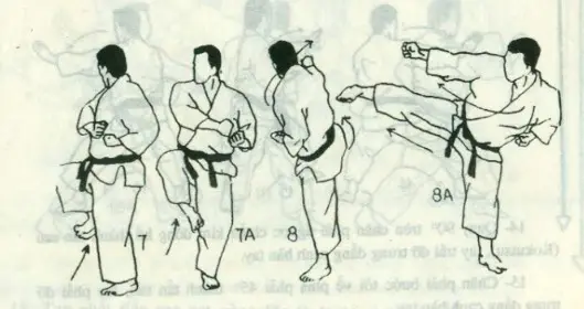 bài quyền số 2 karate bài quyền số 2 karate