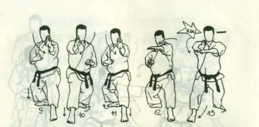 bài quyền số 2 karate heian nidan