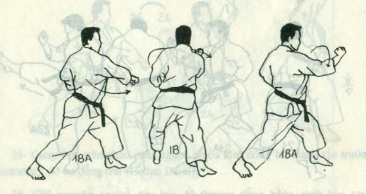 bài quyền số 2 karate