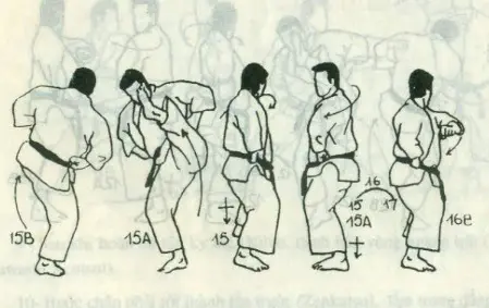 bài quyền số 3 karate