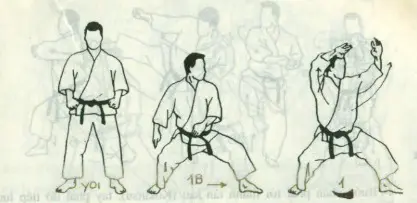 bài quyền số 4 karate