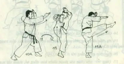 bài quyền số 4 karate
