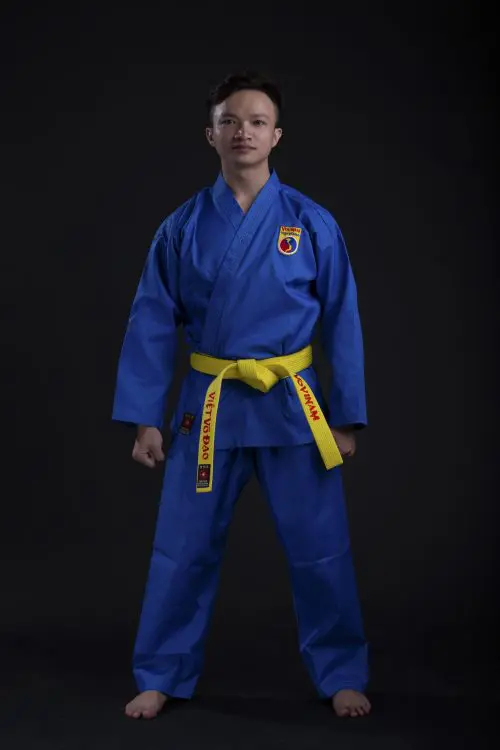 võ phục vovinam phong trào