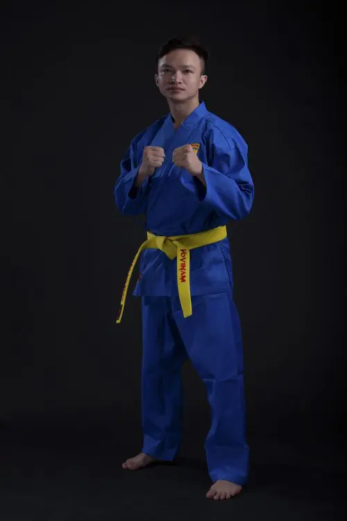võ phục vovinam phong trào